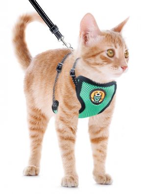 Adjustable Cat Kitten Harness and Leash Escape Proof