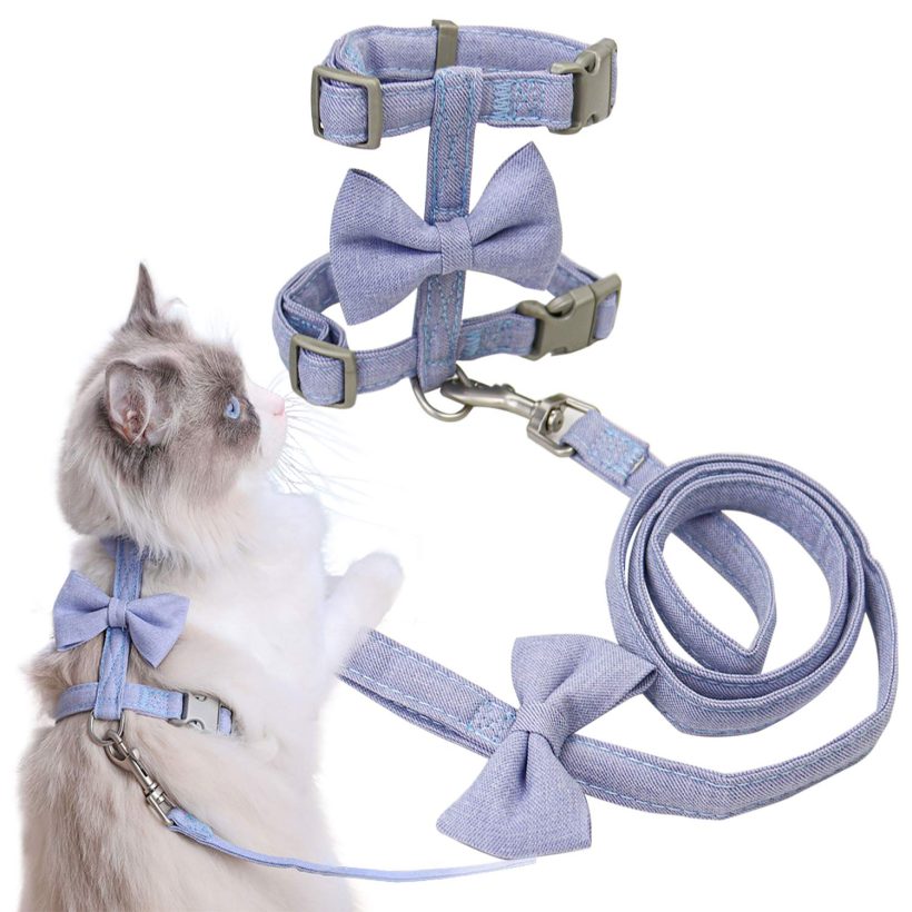 Cat Vest Harness and Leash Set to Outdoor Walking