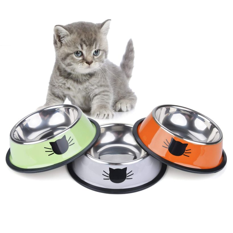 Cat Bowl Pet Bowl with Non-Slip Rubber Base Small Pet