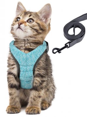 Simpeak Pet Cat Leash and Harness for Walking