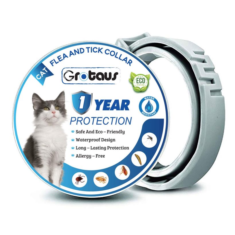 Protection Cat Collar New 12 Months