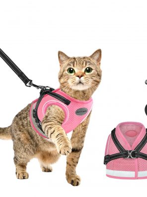 AVCCAVA Cat Harness and Leash for Walking