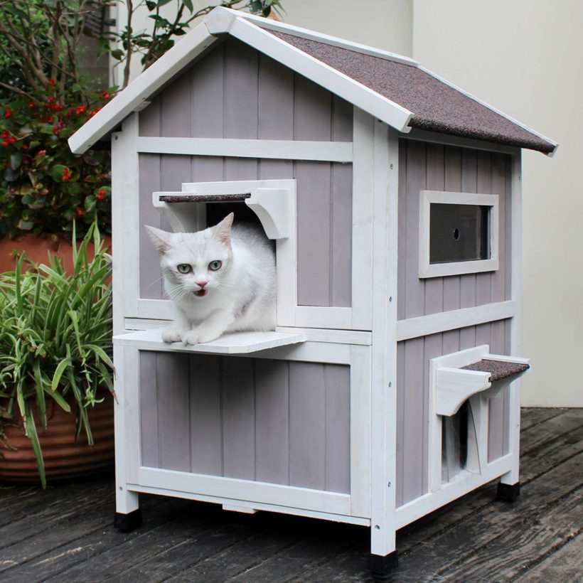 Cat House Feral-Cat Shelter Escape Door Waterproof