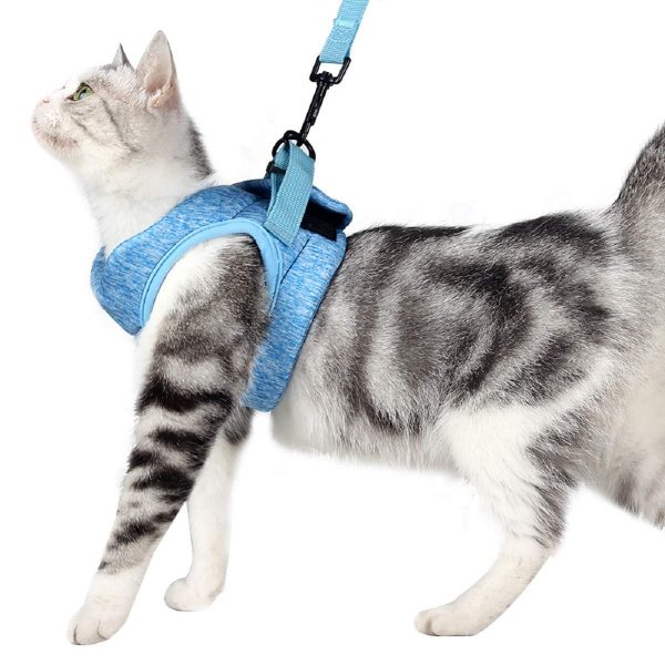 Cat Harness and Leash Set for Walking Escape Proof