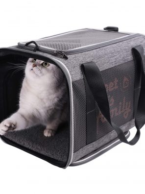 petisfam Large Cat Carrier Designed Especially