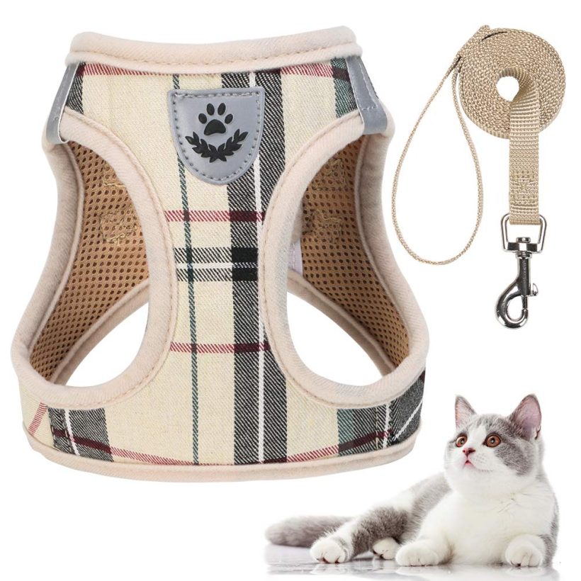 PUPTECK Escape Proof Cat Harness and Leash Set