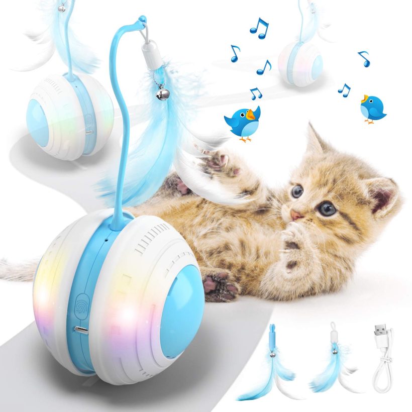 Cat Ball Toys with Bird Sound Automatic 360° Rolling