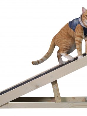 Alpha Paw Cat Ramp, Cat Scratcher, 2 in 1
