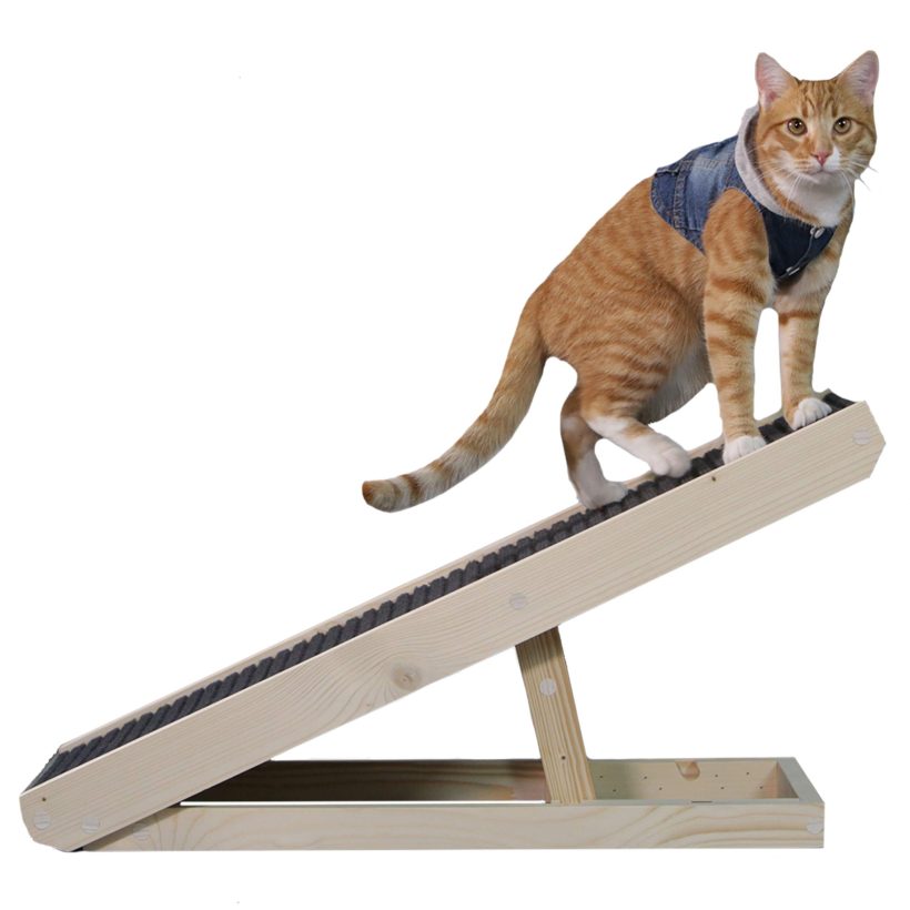 Alpha Paw Cat Ramp, Cat Scratcher, 2 in 1