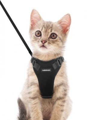 Cat Harness and Leash Set for Walking