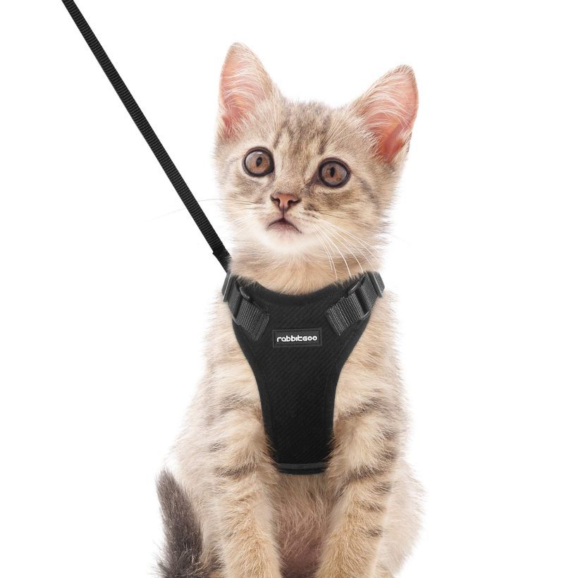 Cat Harness and Leash Set for Walking