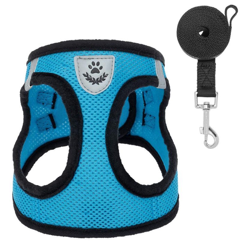 PAWCHIE Puppy Harness and Leash Set