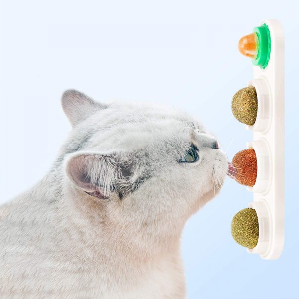 Fortune-star Catnip Wall Ball Cat Toys