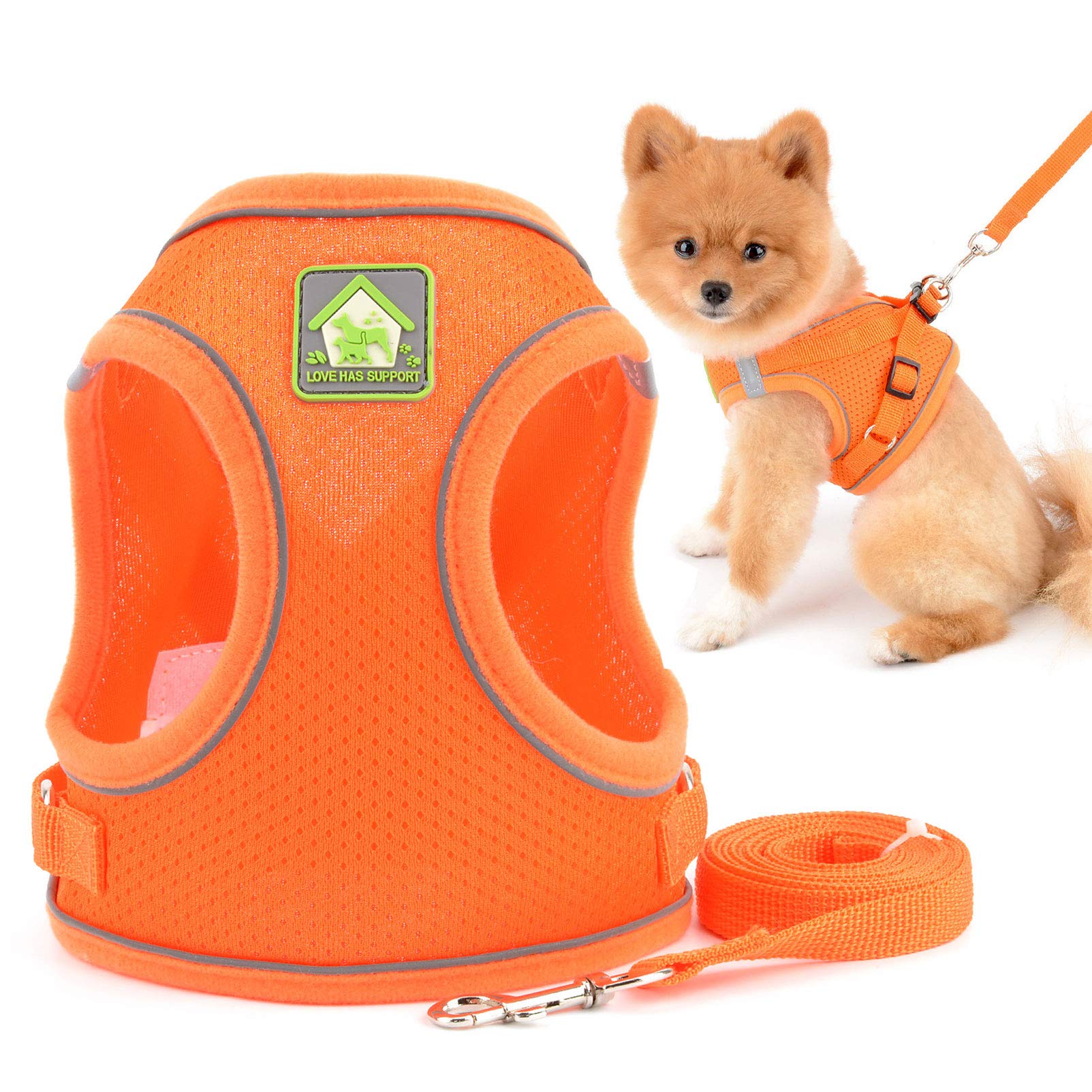 Mesh Step-in Small Dog/Cat Harness and Leash Set