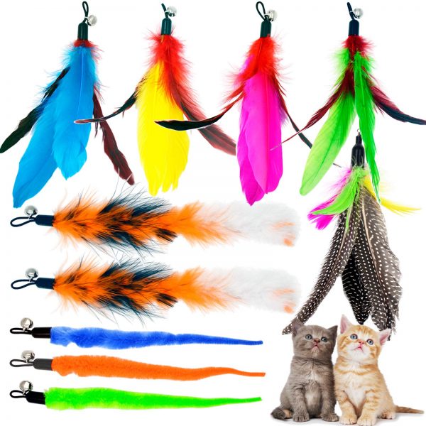 Worms Feathers Replacement Refill Cat Teaser