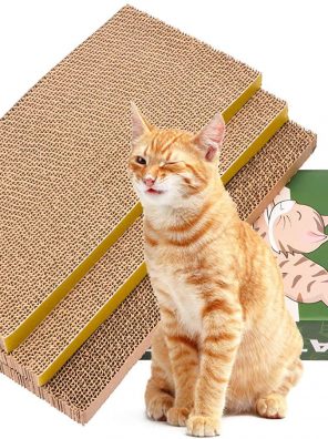 Cat Scratching Pad Toy with Catnip