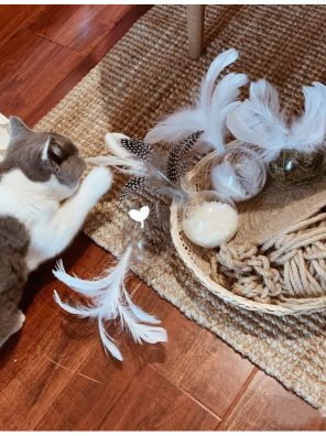 Cat Toy Ball with Feather for Indoor Cats