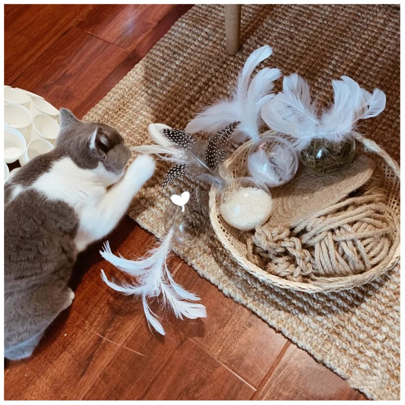 Cat Toy Ball with Feather for Indoor Cats