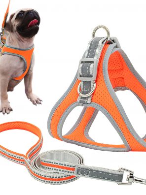 risdoada Reflective Breathable Air Mesh Dog Harness with Leash