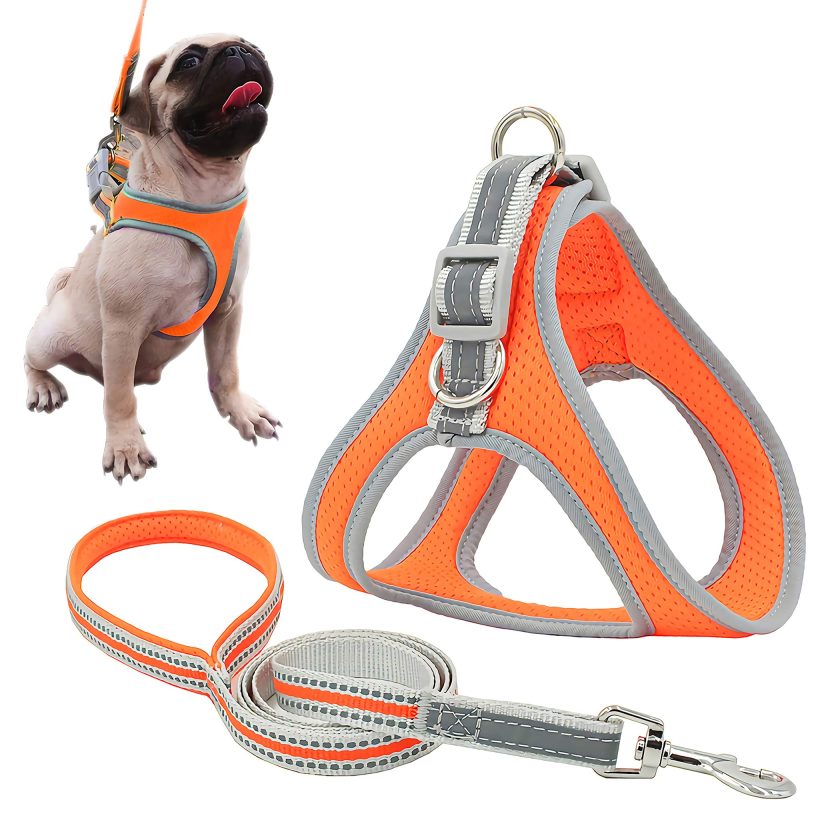 risdoada Reflective Breathable Air Mesh Dog Harness with Leash