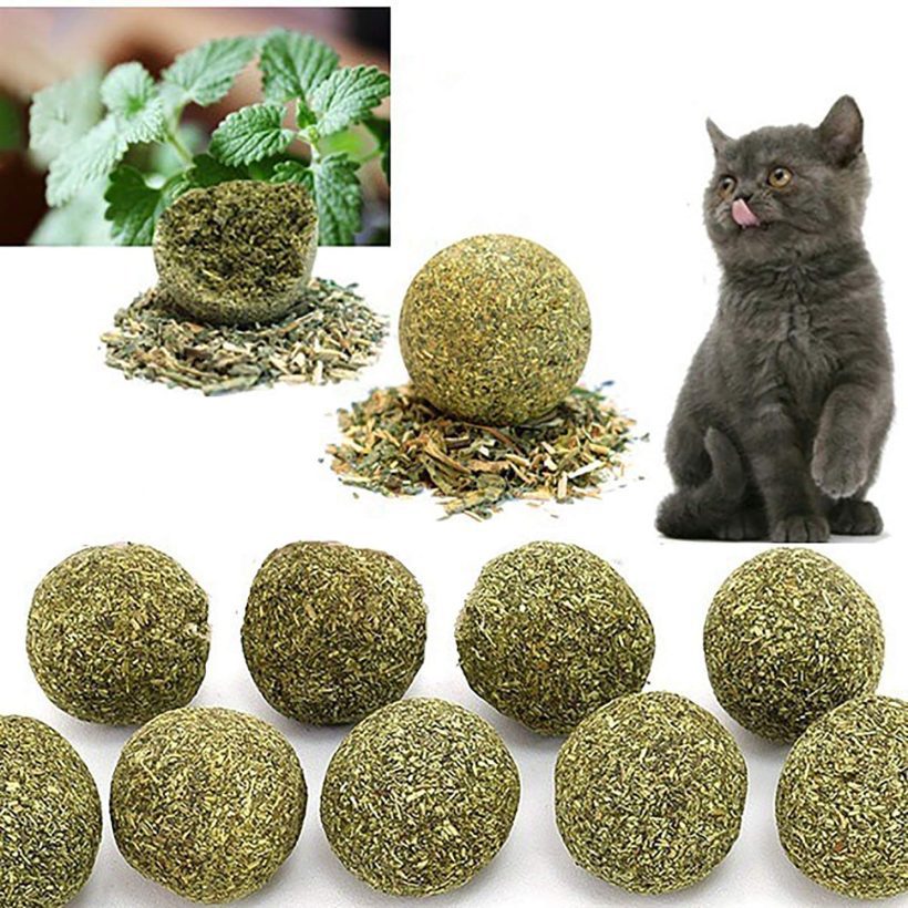 Catnip Toys for Indoor Cat Compressed Catnip