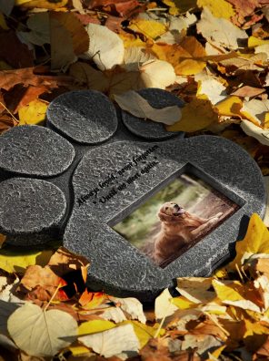 Memorial Stone Cat Grave Photo Frame Loss of Pet