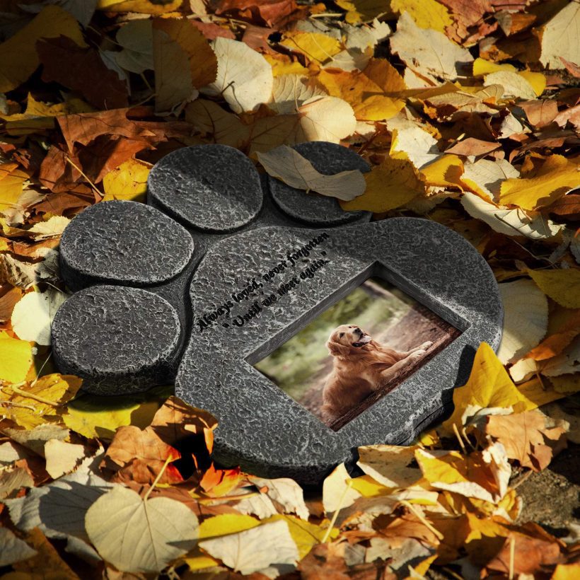 Memorial Stone Cat Grave Photo Frame Loss of Pet