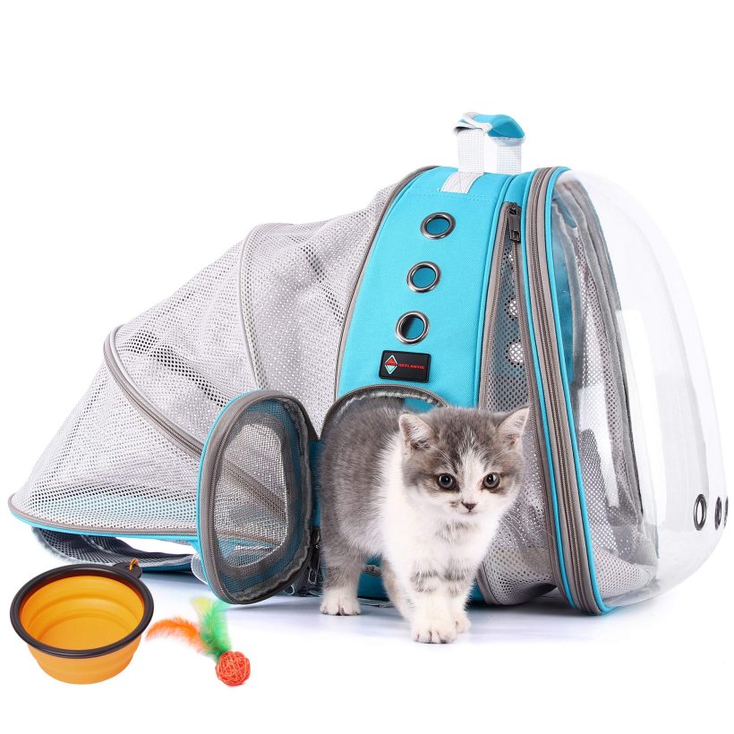 Carrier Cat Backpacks Airline-Approved Waterproof