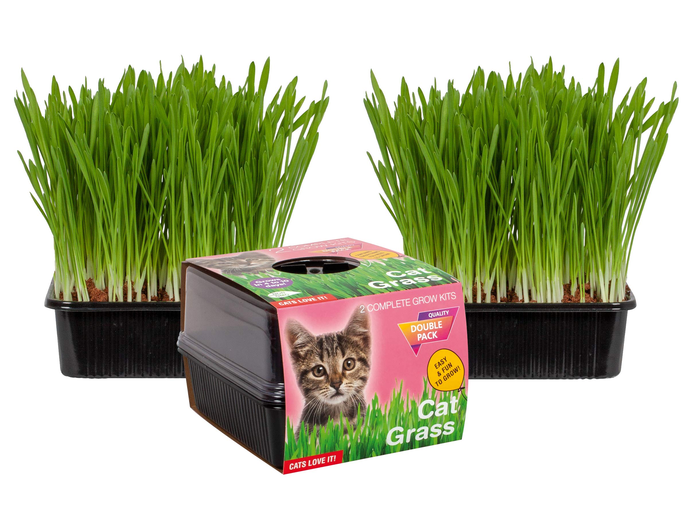 Holland Cat Grass Grow Kit Cat Treat