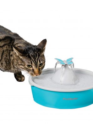 Cats Pet Drinking Fountain Easy to Clean