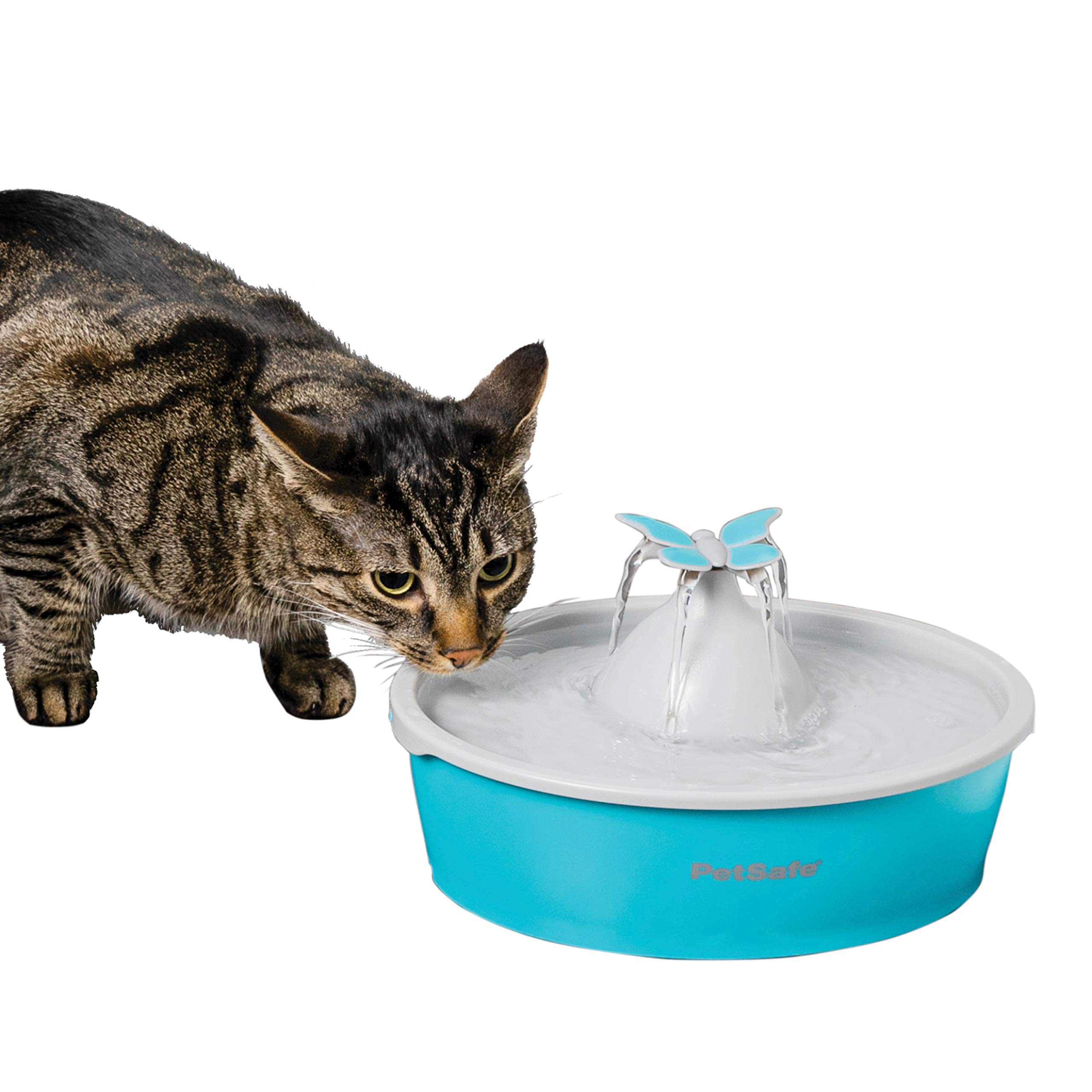 Cats Pet Drinking Fountain Easy to Clean