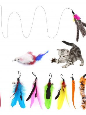 Retractable Cat Wand Toy & 8pcs Natural Feather Teaser