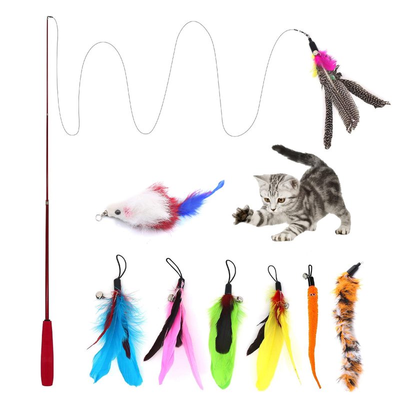 Retractable Cat Wand Toy & 8pcs Natural Feather Teaser