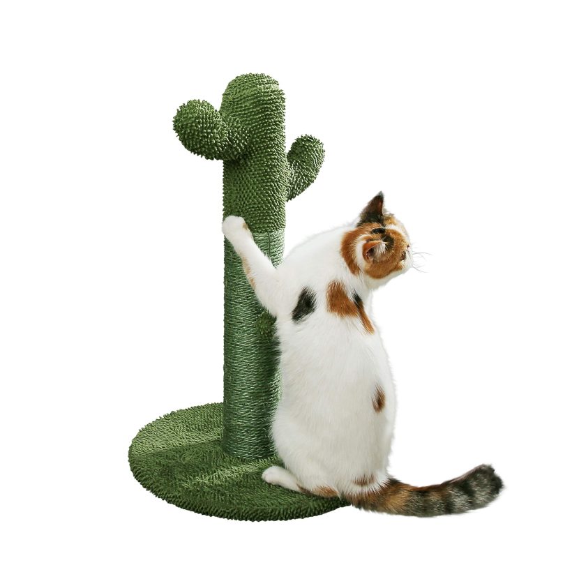 PetnPurr The Original Cactus Cat Scratching Post