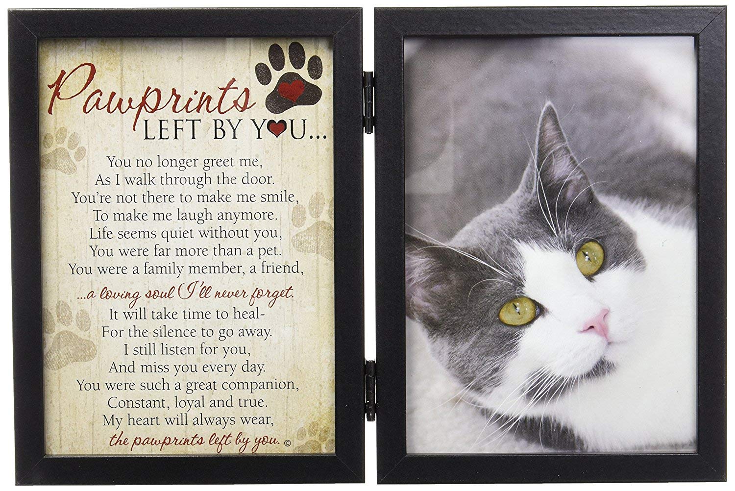 Pawprints Left By You Memorial 5x7 Frame for Cat