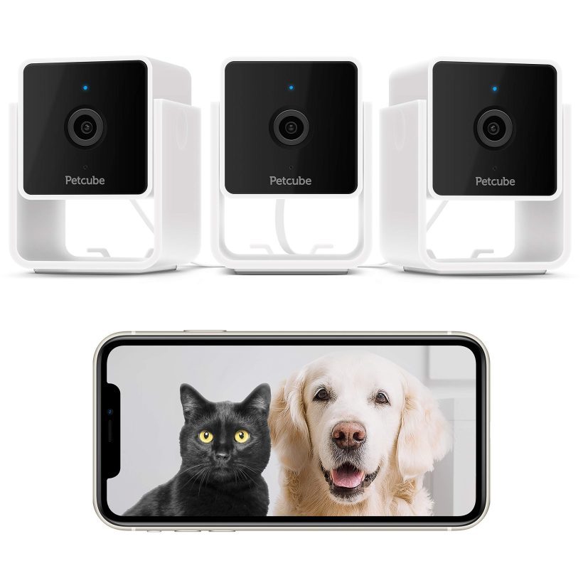 et Monitoring Camera with Built-in Vet Chat for Cats