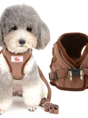 Small Cats Harness and Leash Set