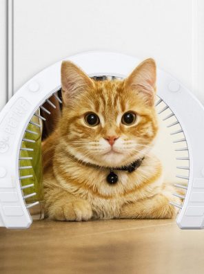 Cat Door with a Removable Cleaning Grooming Brush