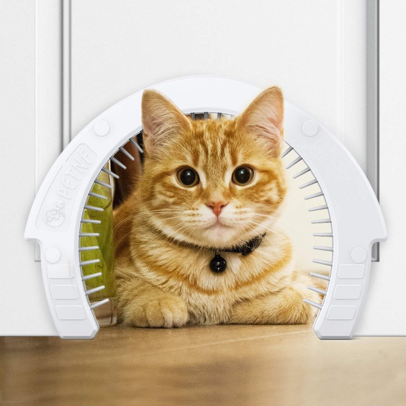 Cat Door with a Removable Cleaning Grooming Brush