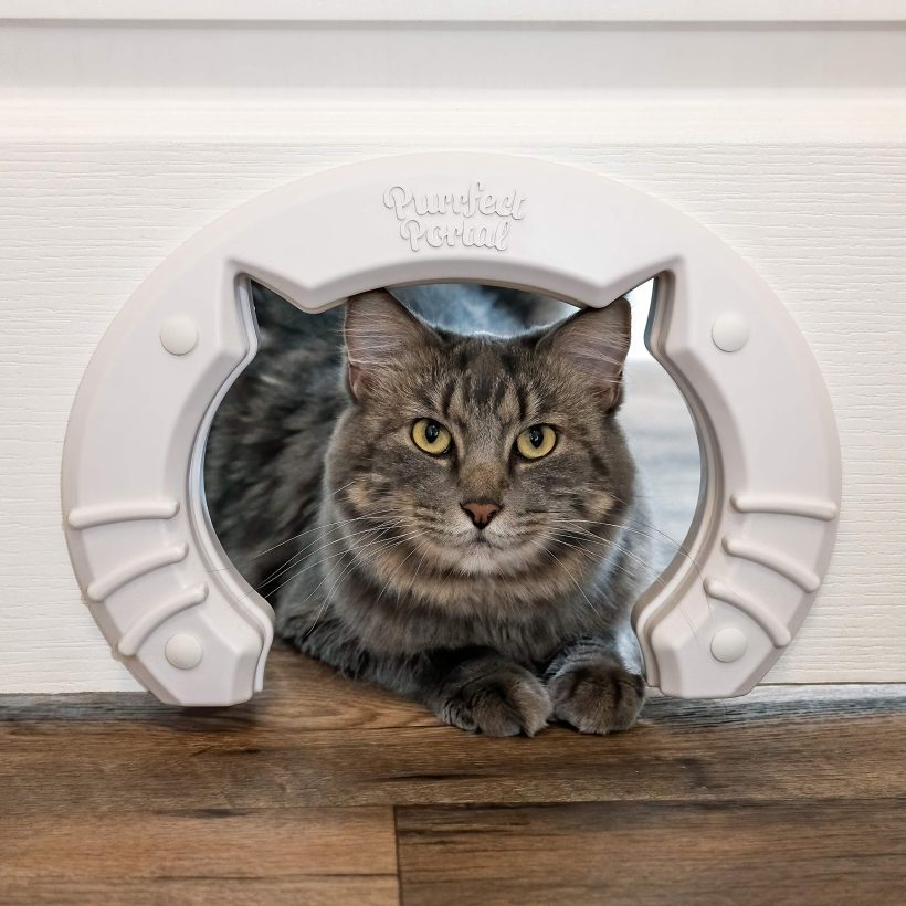 Cat Door Built In Interior Pet Door