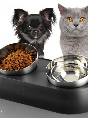 Cat Food Bowls with Silicone Feeding Mat