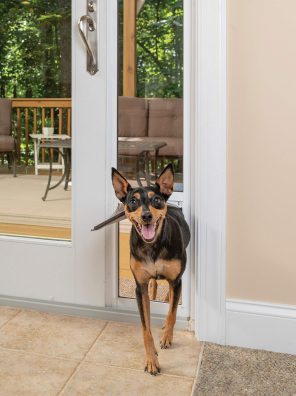 Aluminum Patio Panel Sliding Glass Dog and Cat Door
