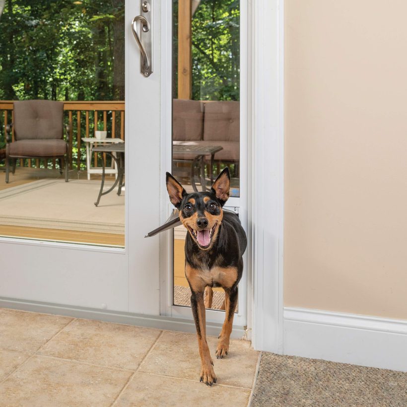 Aluminum Patio Panel Sliding Glass Dog and Cat Door