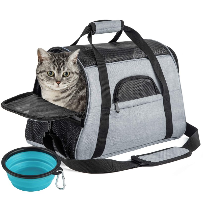 Cats Portable Folding Pet Carrier Airline Approved