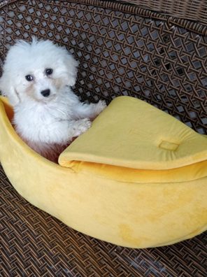 Portable Banana Shape Pet Dog Cat Bed